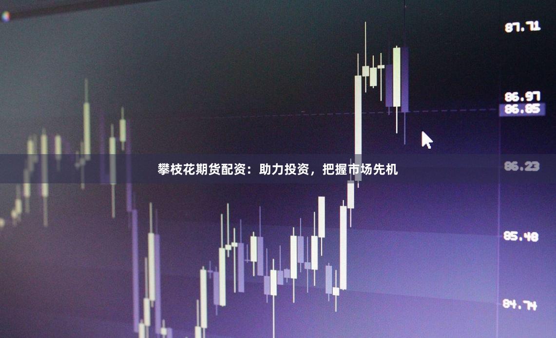 攀枝花期货配资：助力投资，把握市场先机