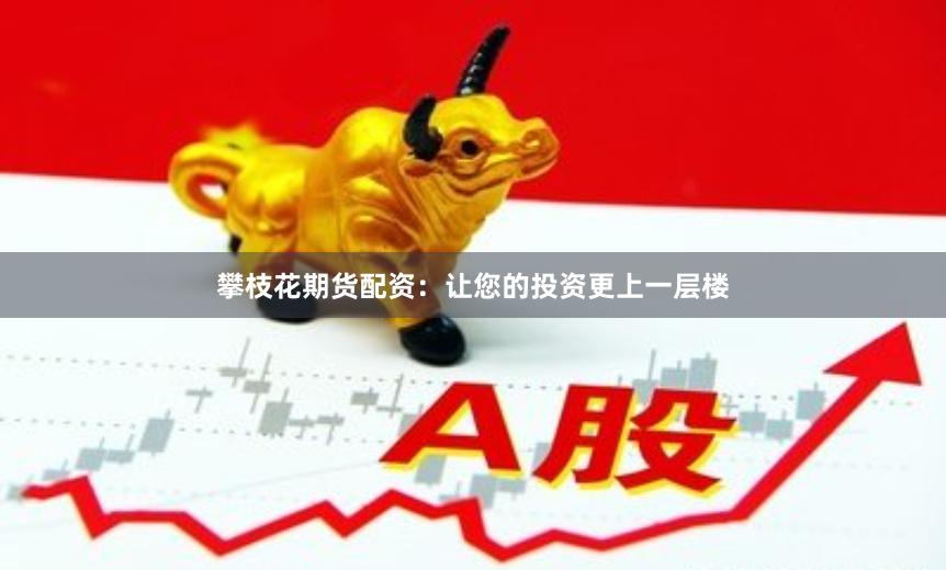 攀枝花期货配资：让您的投资更上一层楼
